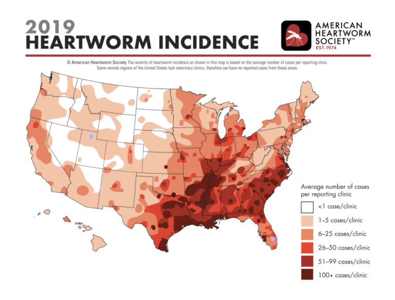 HW-Incidence-Map-2019-1024x778
