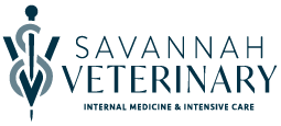 Savannah Veterinary Internal Medicine logo